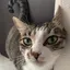 恵理のプロフィール画像