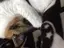 sのプロフィール画像