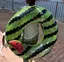 あかりーのプロフィール画像