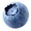 めぐみのプロフィール画像