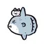 はちわれのプロフィール画像