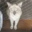 あまがさのプロフィール画像