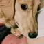 まりかのプロフィール画像