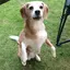 Nのプロフィール画像