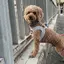 りさのプロフィール画像