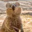 れんじのプロフィール画像