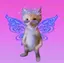シヅニのプロフィール画像