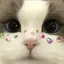 ねーねのプロフィール画像