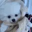 AKIのプロフィール画像