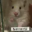 ミナミのプロフィール画像