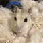 あやこのプロフィール画像