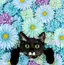 mのプロフィール画像