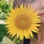 ざわのプロフィール画像