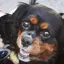 りんラブのプロフィール画像