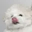 みのプロフィール画像
