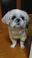 のりぽんのプロフィール画像