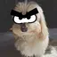 chiekobaのプロフィール画像