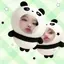 めりのプロフィール画像