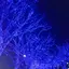 ことののプロフィール画像