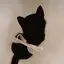 彩のプロフィール画像