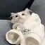 kuのプロフィール画像