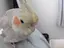 沙和恵のプロフィール画像