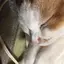 美咲のプロフィール画像