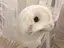 つつのプロフィール画像