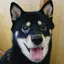 momoのプロフィール画像