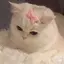minのプロフィール画像