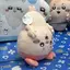 ちれのプロフィール画像
