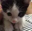 絢子のプロフィール画像