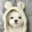 ♡のプロフィール画像