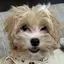さのプロフィール画像