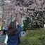 kasumiのプロフィール画像