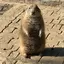 hiroのプロフィール画像
