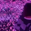なーのプロフィール画像
