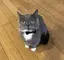 あやののプロフィール画像