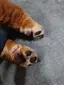 rioのプロフィール画像