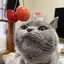 mのプロフィール画像