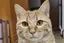 minaのプロフィール画像