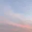 まるのプロフィール画像