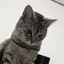 muuのプロフィール画像
