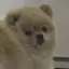 りなのプロフィール画像