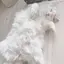 manaのプロフィール画像