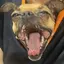 fumiのプロフィール画像