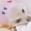 りなのプロフィール画像