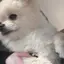 雪愛のプロフィール画像