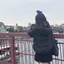 なななのプロフィール画像