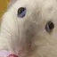 さきのプロフィール画像